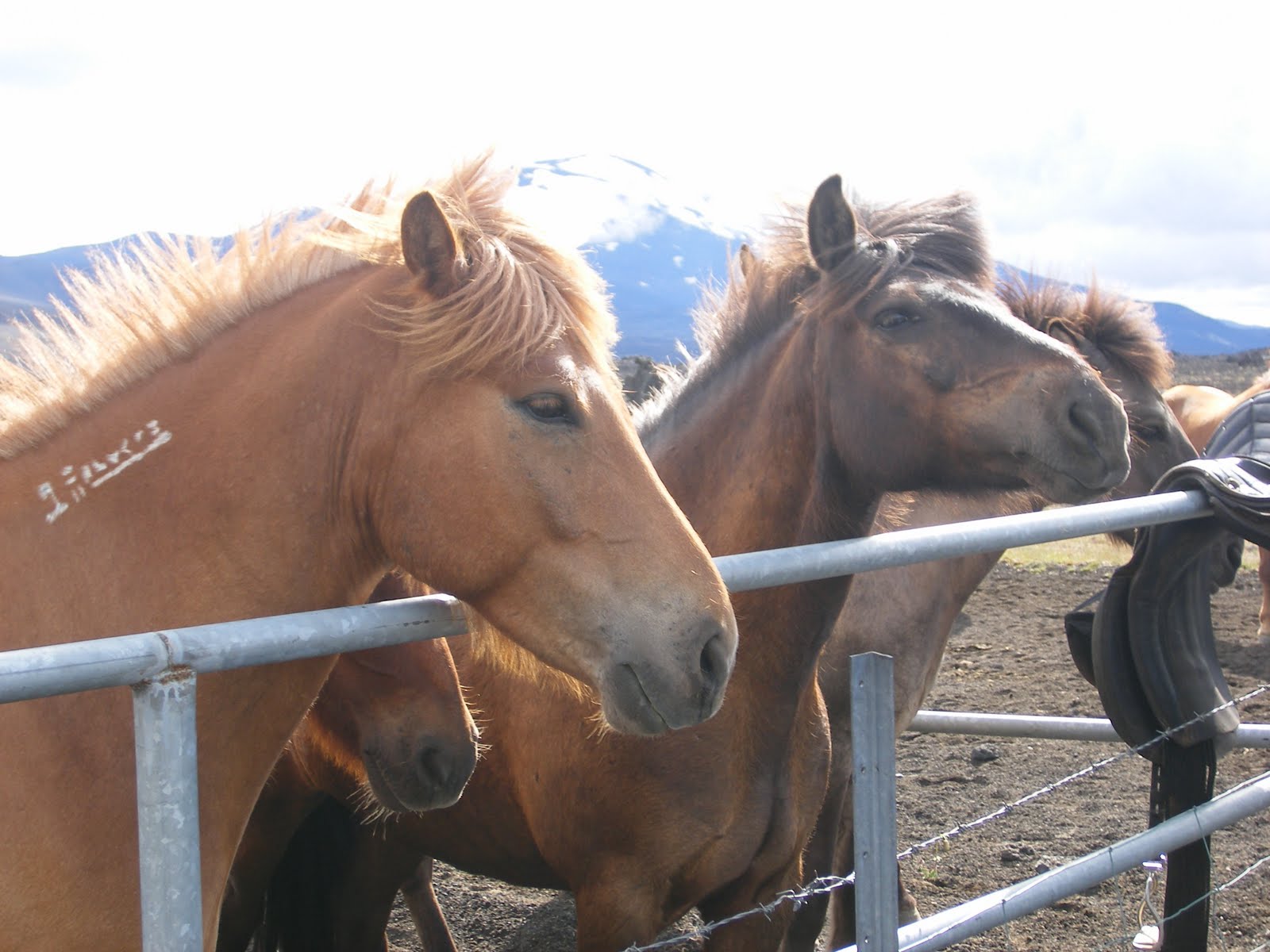 dating at different colleges