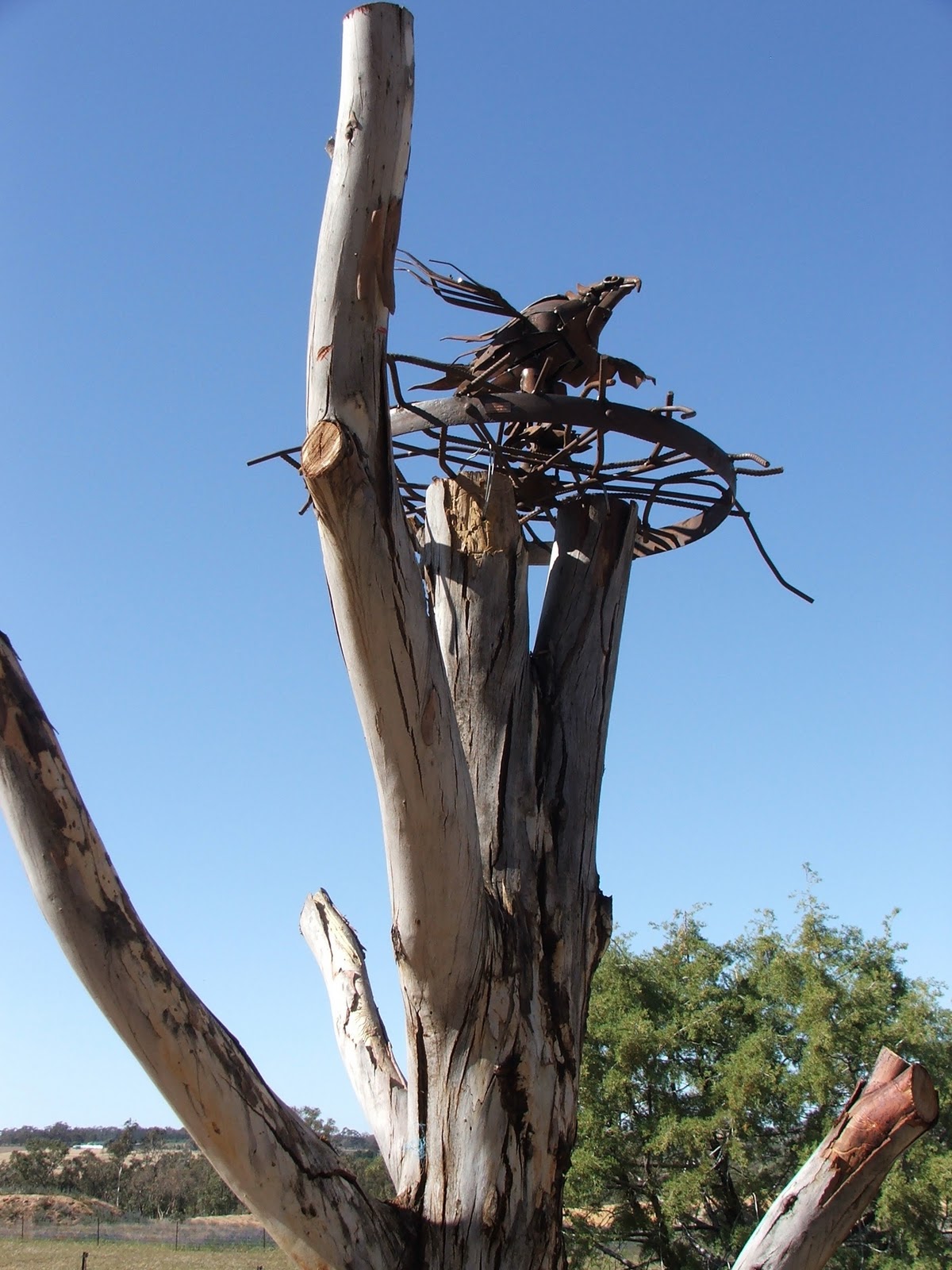 Kathleen's Sculptures Wedge tailed eagle