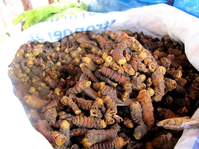 Anu in Lusaka June 2010