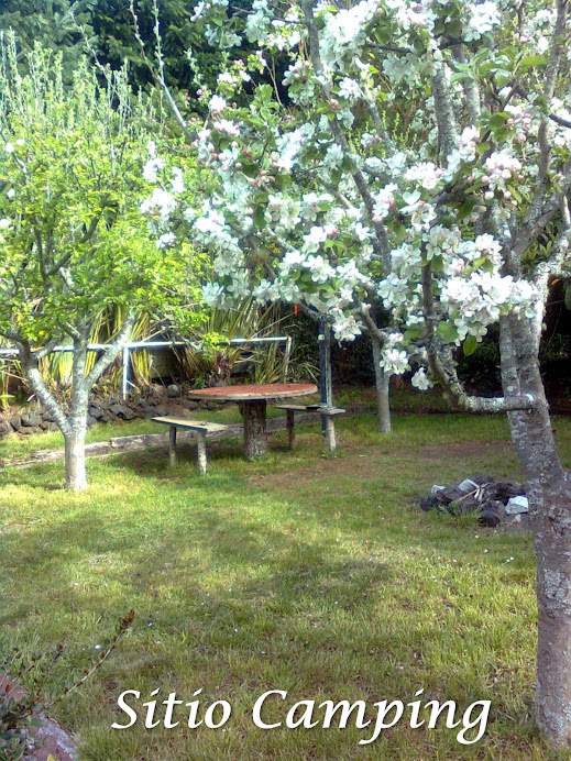 Sitios del Camping