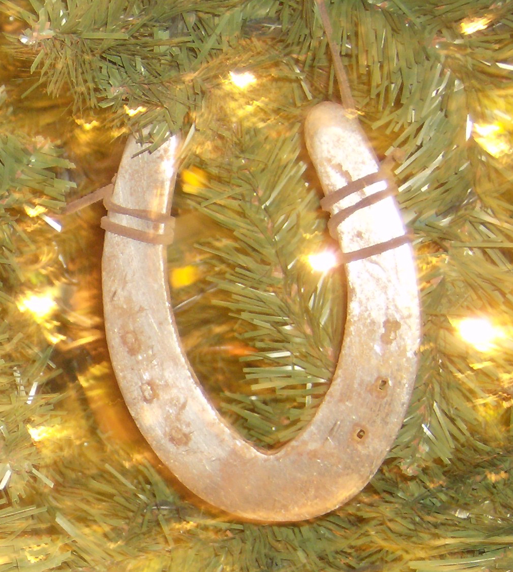 [horseshoe.jpg]