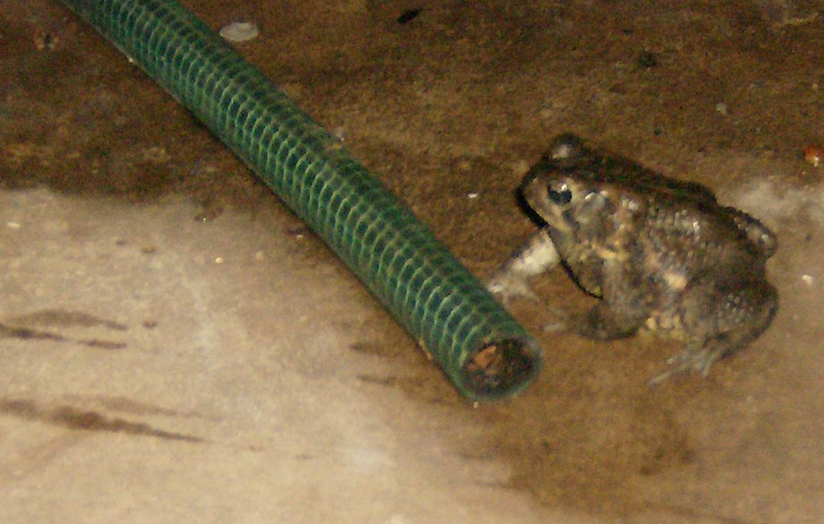 [HPIM3633_edited-1.jpg]