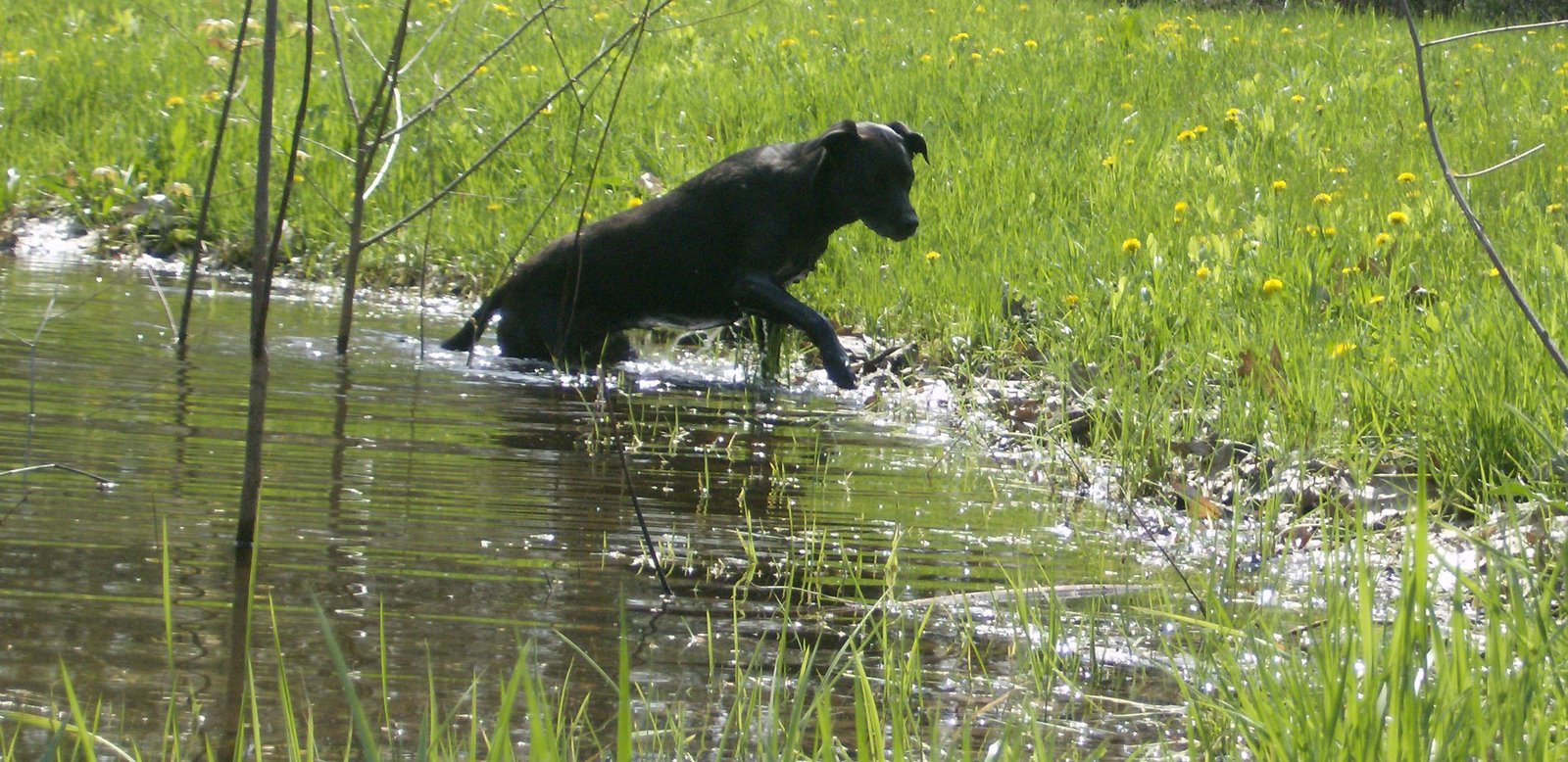 [HPIM4615_edited-1.jpg]