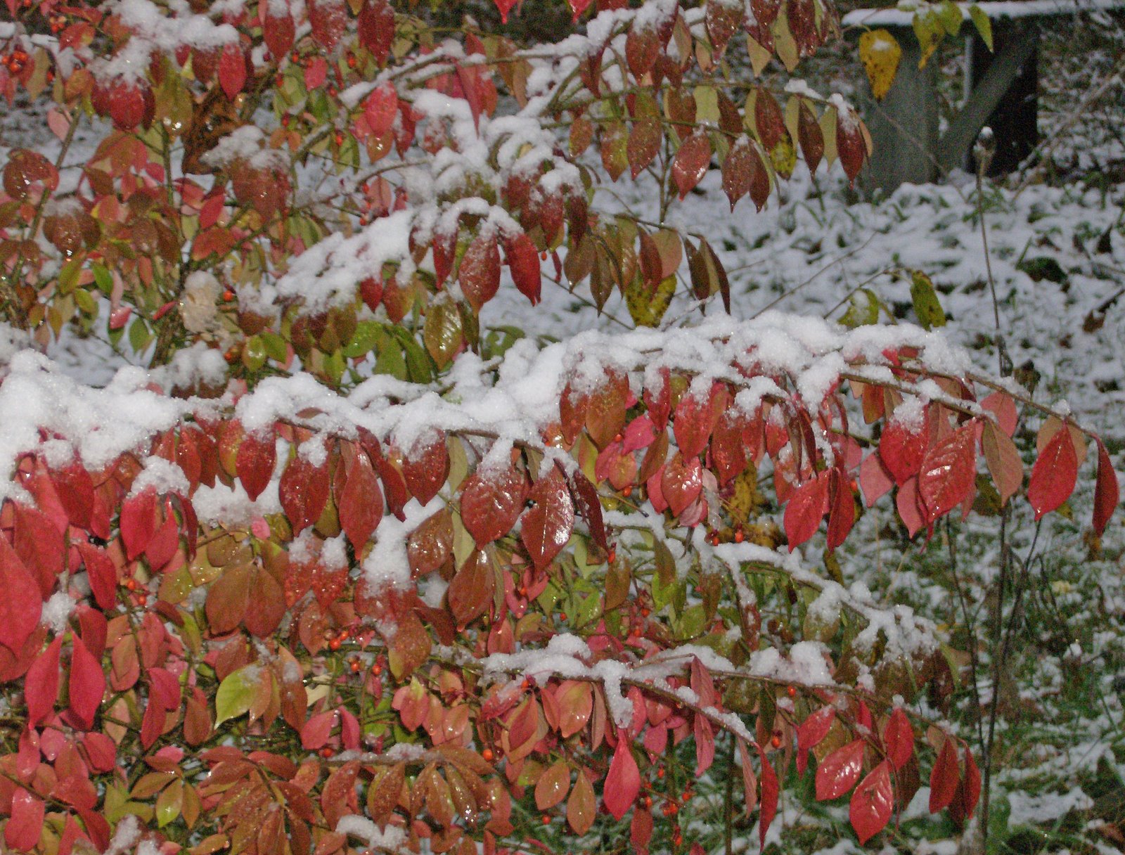 [HPIM6296_edited-1.jpg]