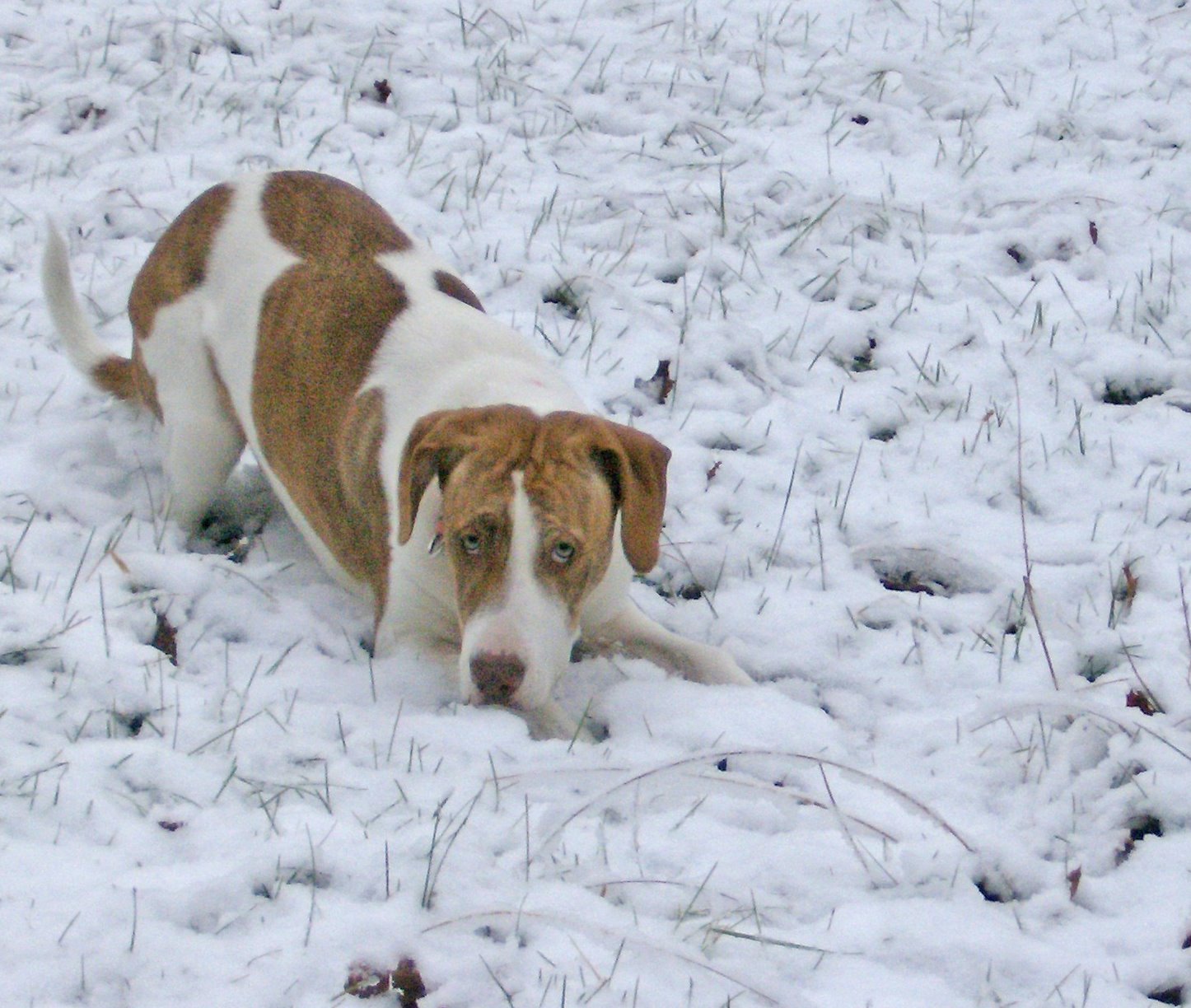 [HPIM6303_edited-1.jpg]