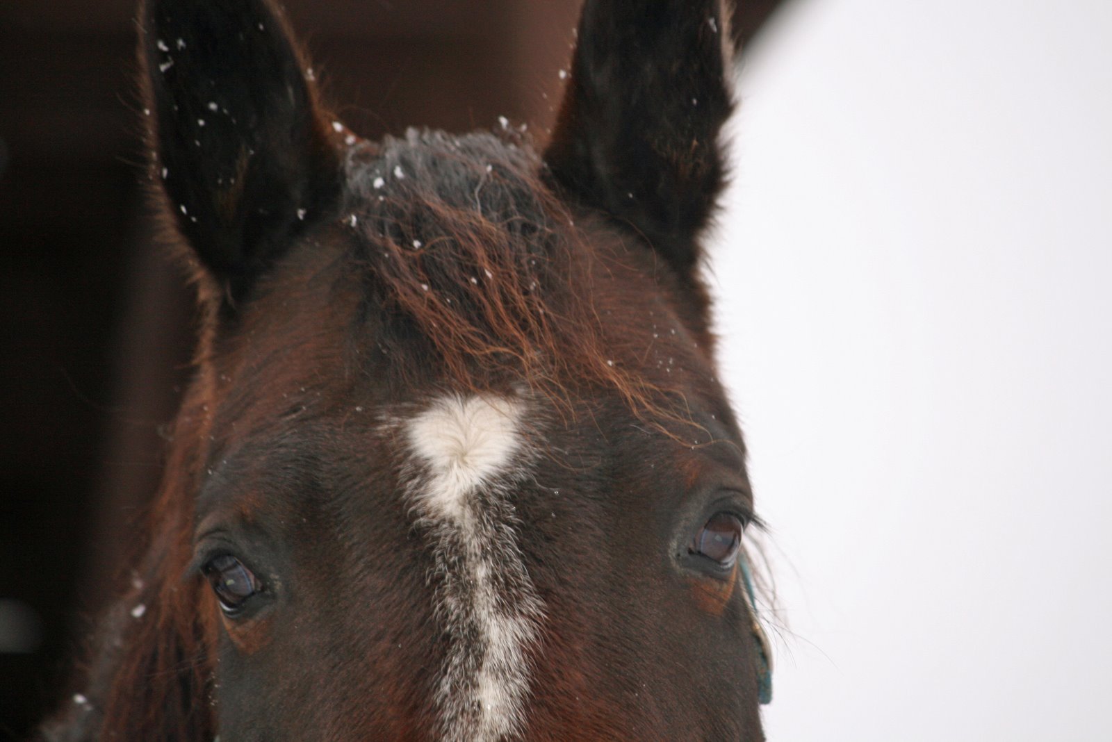 [IMG_2683_edited-1.jpg]