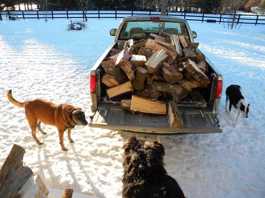 Ugly Dogs Farm Firewood and Puppies...