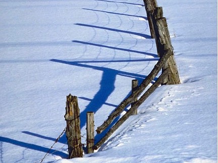 [winter_fence1.jpg]