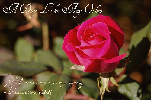 A Day Like Any Other