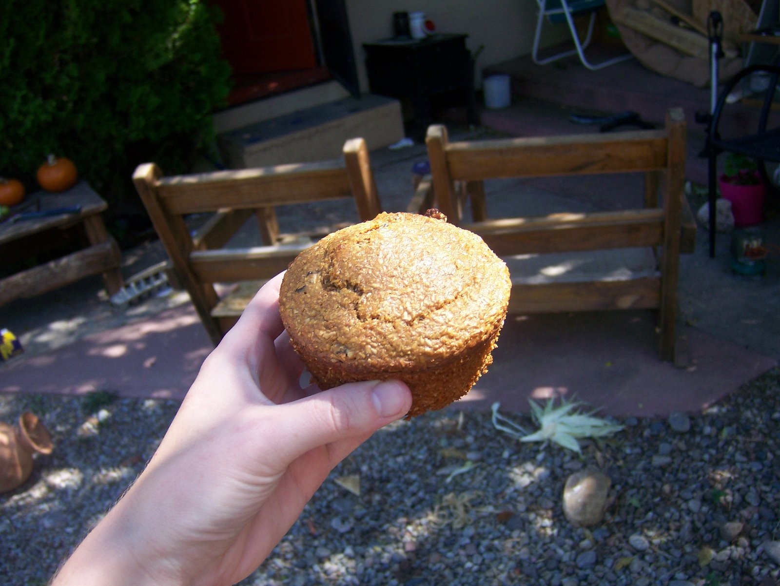 [branmuffin.JPG]