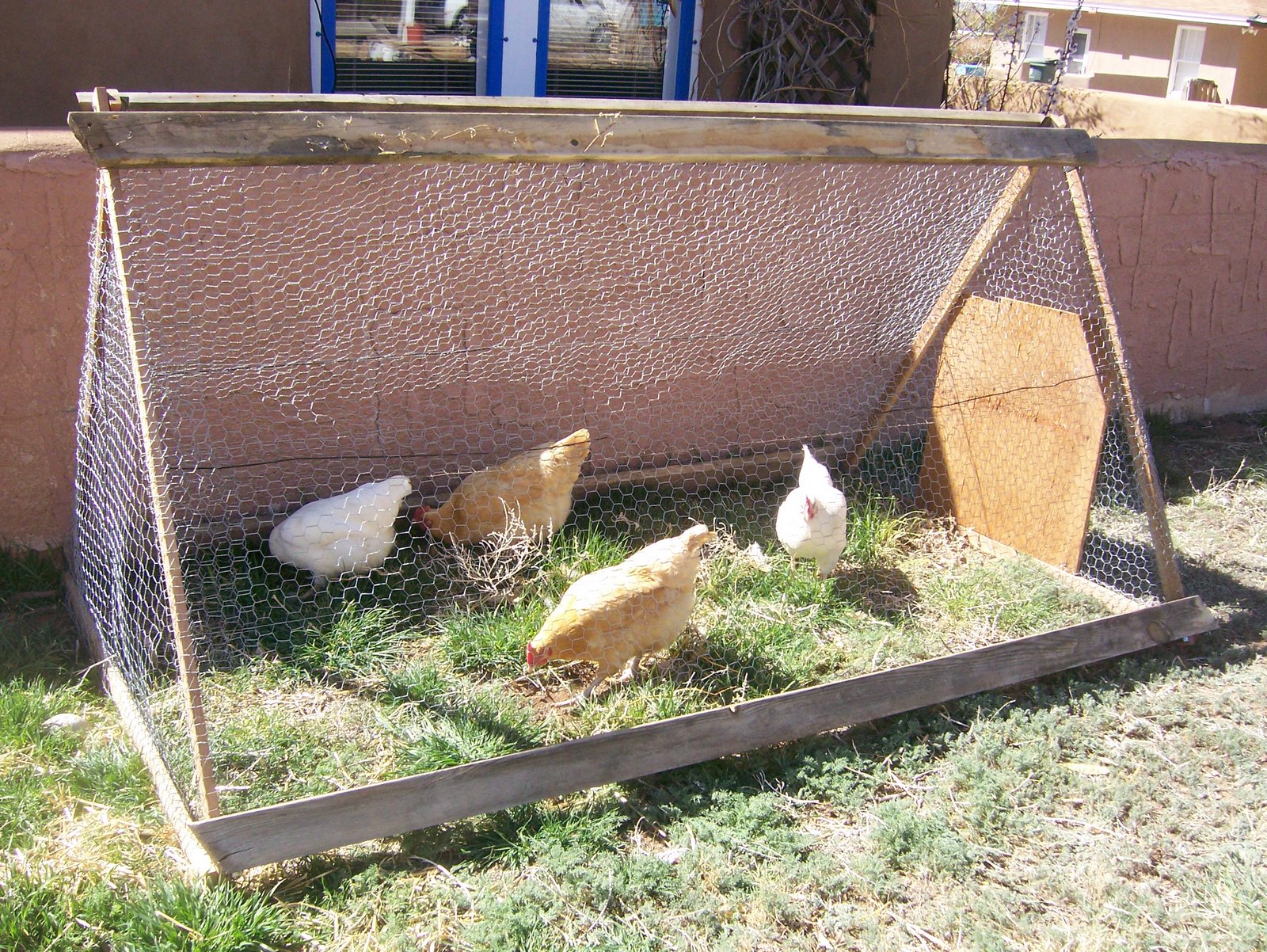 [chickentractor.JPG]