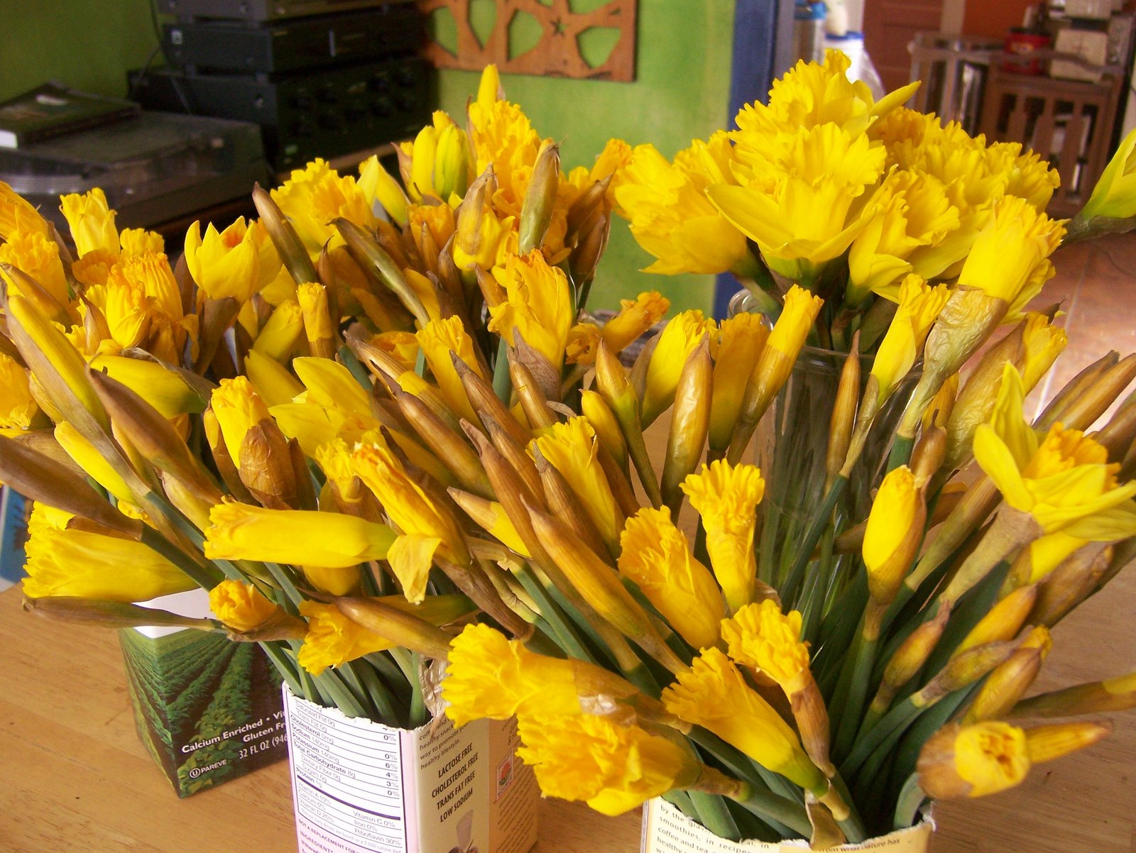 [dumpsterdaffodils.JPG]