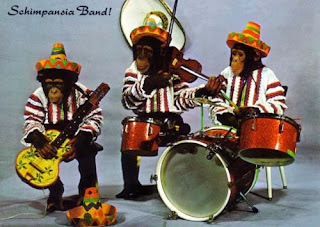 monkey_mexican_band.jpg