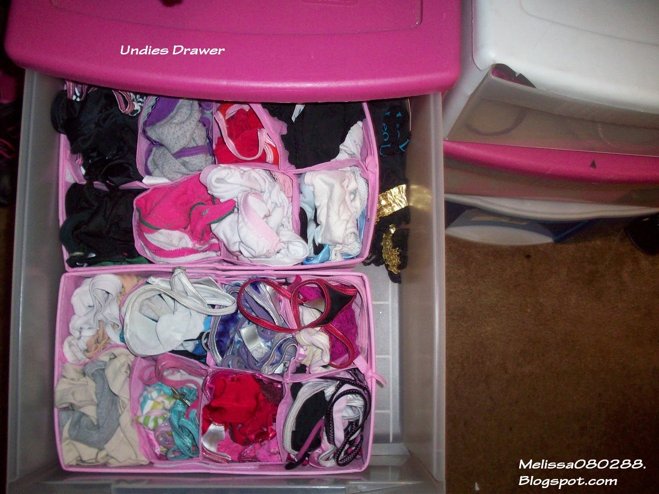 Affordable Beauty by Melissa How to organize your Bra's, Undies, Socks & Swimsuits!