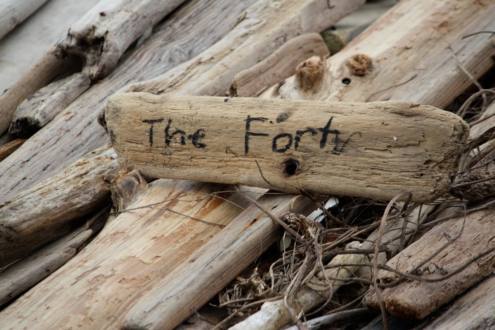 Beverly Ash Gilbert: Driftwood