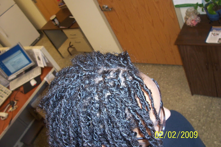 Transitioning SL's to Traditional Locs