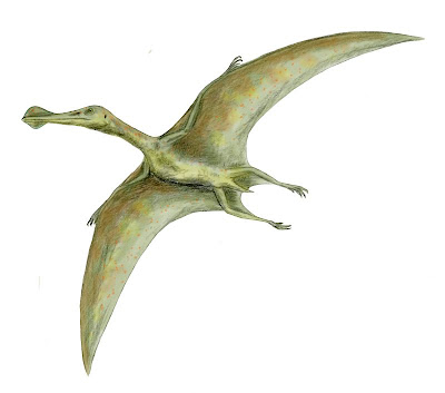 Ornithocheirus - UnikBaca.Blogspot.com