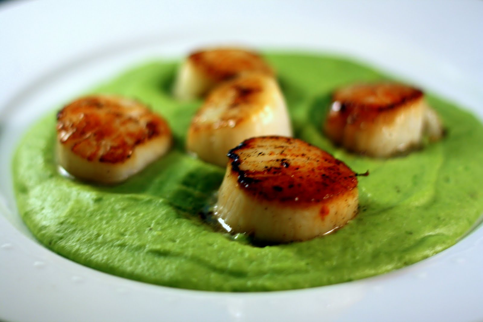 Seared Scallops with Fava Bean Puree Culinary Studio