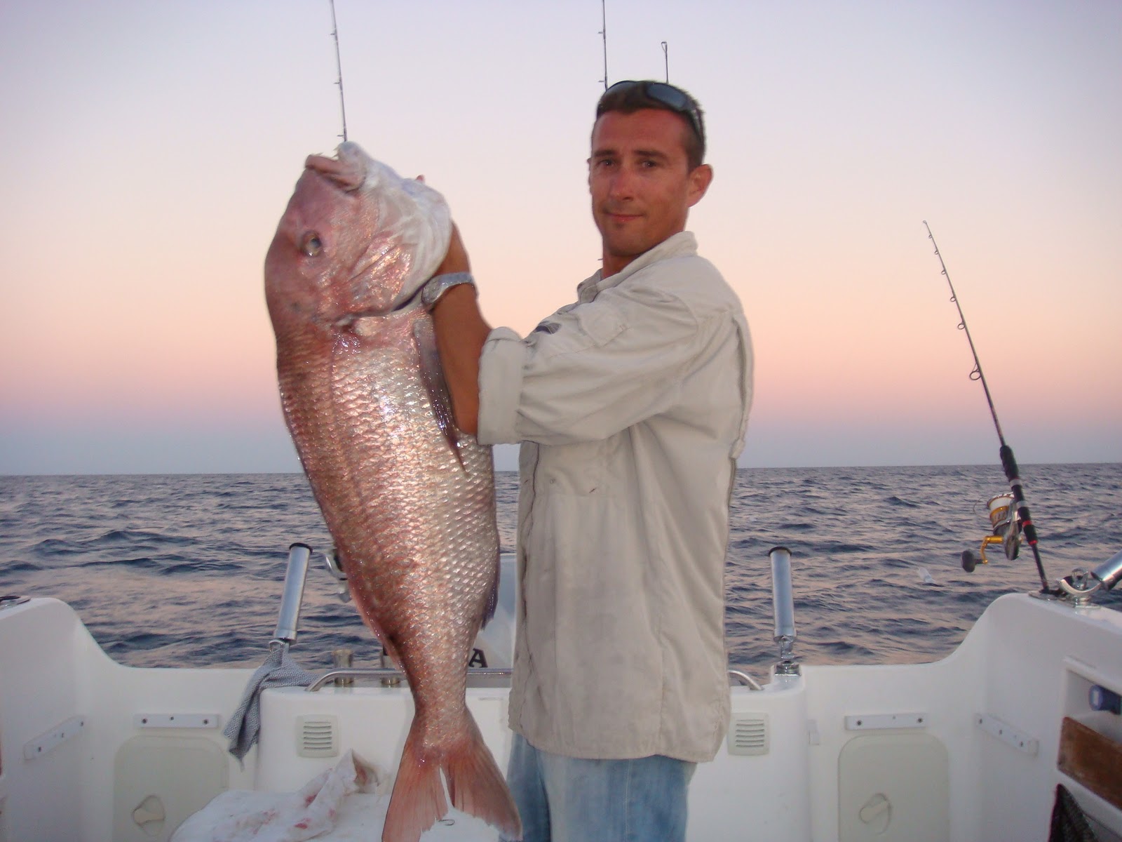 PESCA CINTINA: Rosa, grande y peleón, pargo