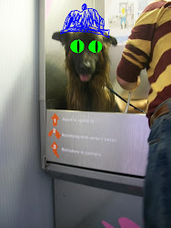 hermione granger homework planner 3