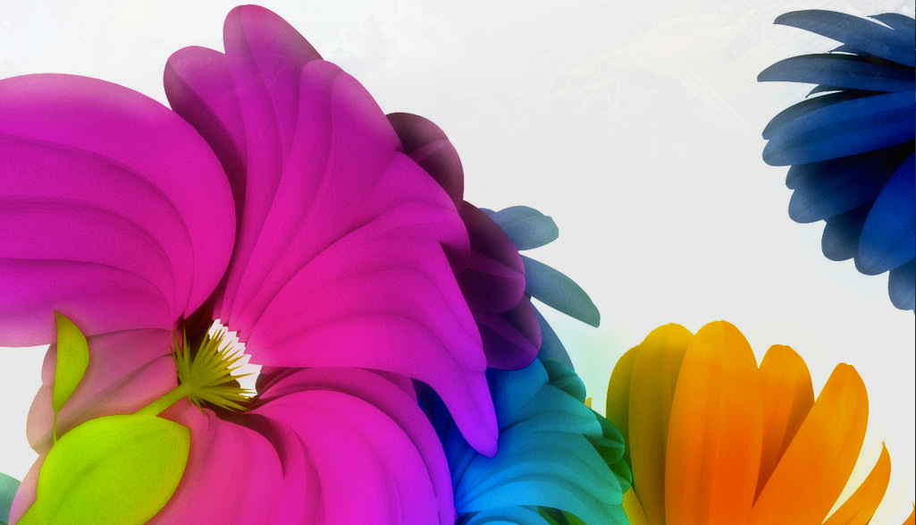 A Novice Cook's Culinary Adventures!