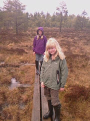 Komosse naturereserve outside Ulricehamn