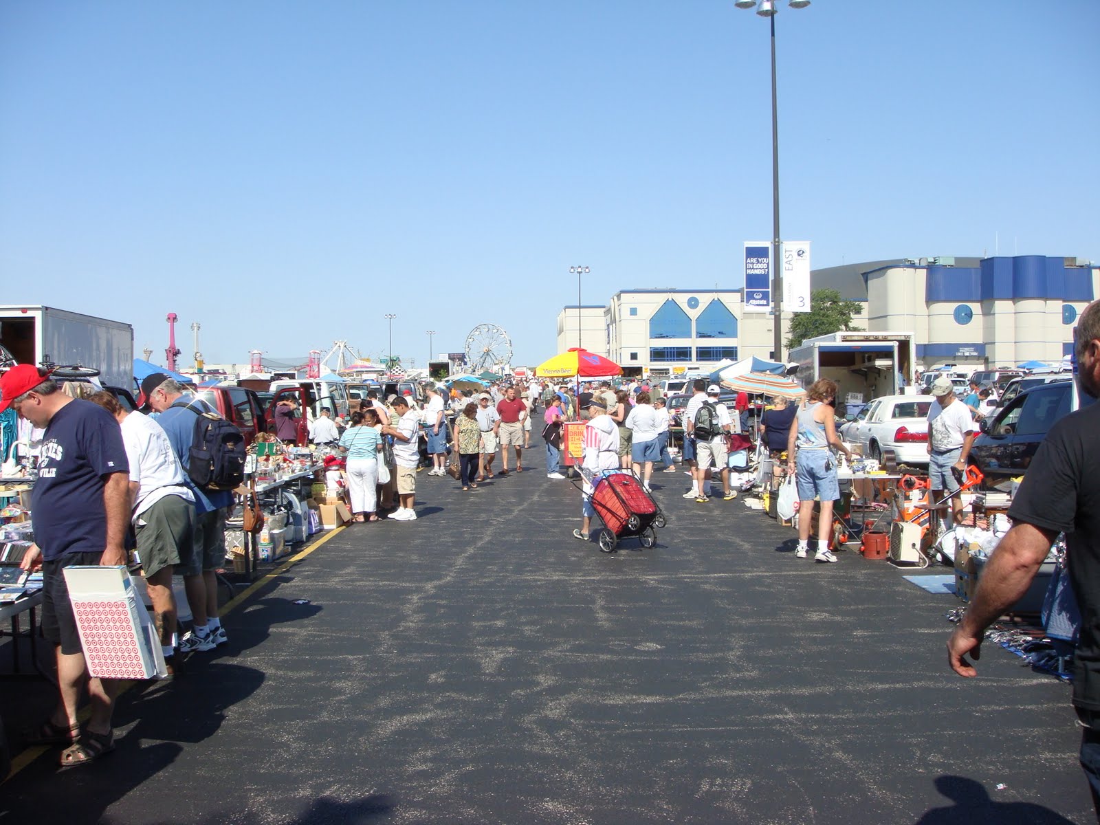 Lynn is... Wolff's Flea Market, Rosemont Illinois, Sunday, July 11, 2010