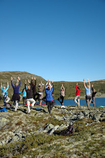 Fjell Yoga i Valdres