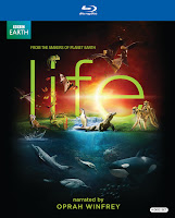 LIFE on Blu-ray