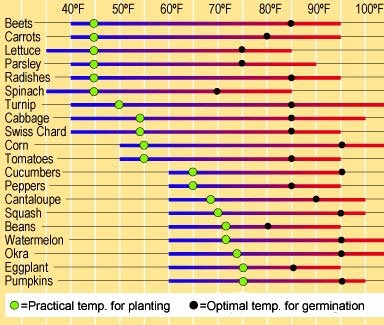 Natural Gardening: Vegetable seed germination temperatures