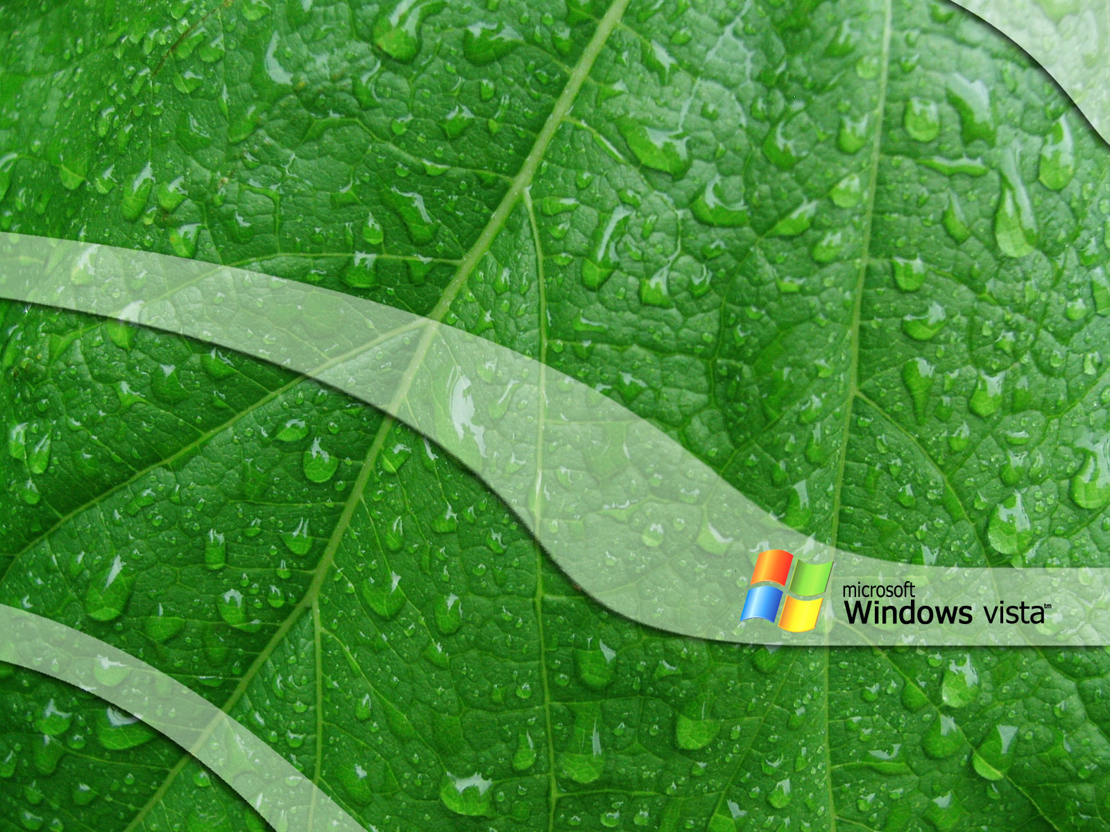 The best top desktop windows vista wallpapers 18