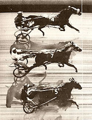 Triple Dead Heat - Freehold 1953