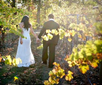 California Vineyard Wedding Photography