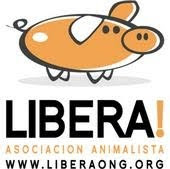 Libera