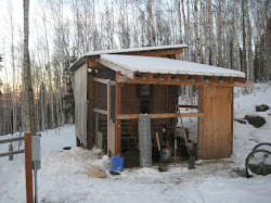 cold chicken weather coops coop homestead roots wild