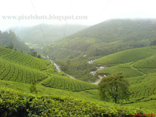 kerala-hill-station-photographs,Munnar-tea -estates,landscape sceneries photographs from munnar kerala,green tea plantations on the munnar mountain slopes