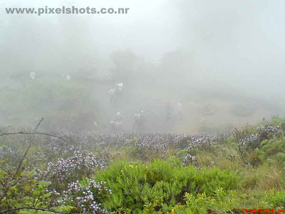 mist in munnar,photograph of men walking through mountain road in munnar rajamala kerala