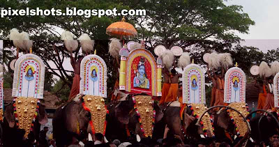 elephant,kerala-elephants,Shiva-kshetra-ulsavam,ana,ezhunalleth,pooram,temple-elephants-festival,elephants-in-kerala-festival,cultural-festivals-of-kerala,Hindu-Lord-Shiva,venchamarom,alavattom