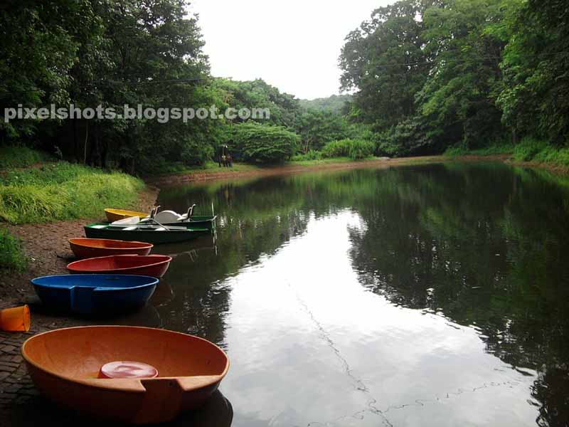 adventure zone pond and boats in thenmala, small pond called lotus pond of thenmala eco tourism project,kerala eco tourism pictures and info,eco tourism attractions,kerala tourism boating spots