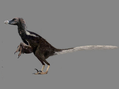 magia digital: velociraptor con plumas