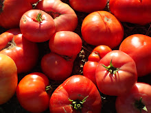 Tomates de la huerta de la Sra Regina