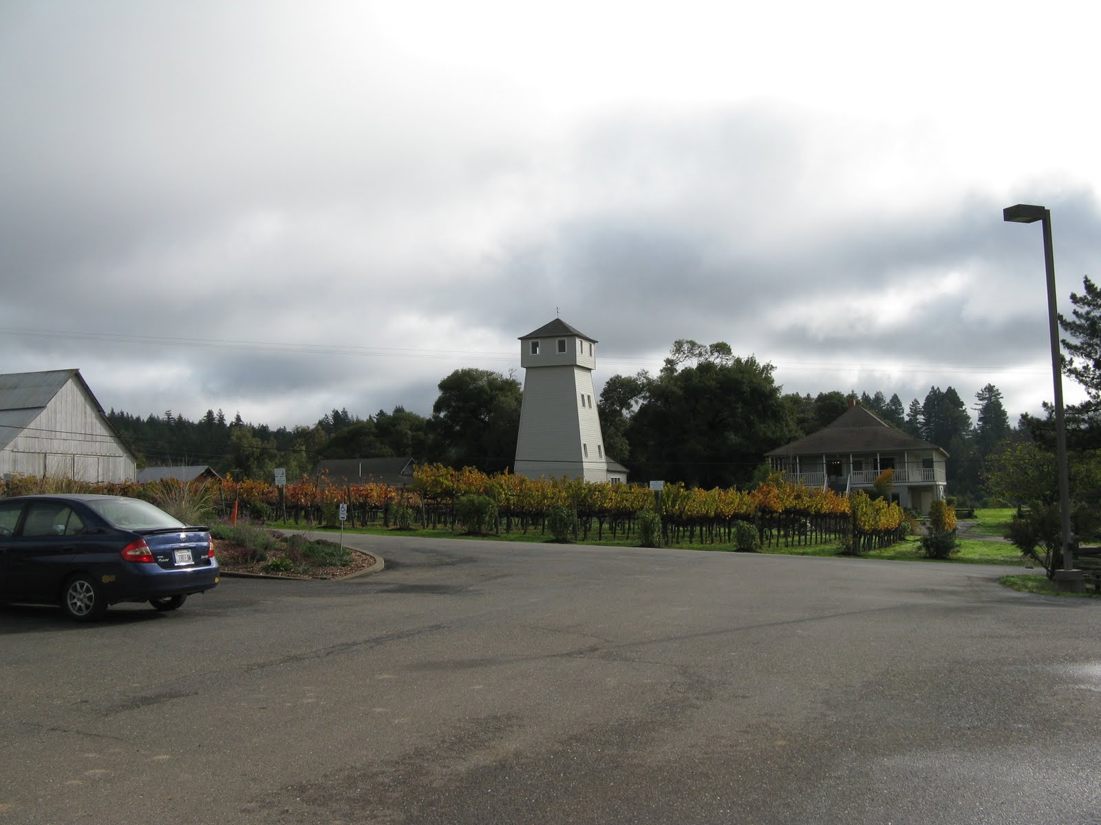 Tarra's Travels Ft. BraggAnderson Valley Wineries