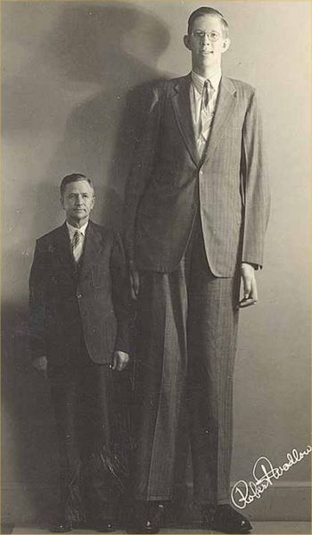 World Tallest Man Ever 48