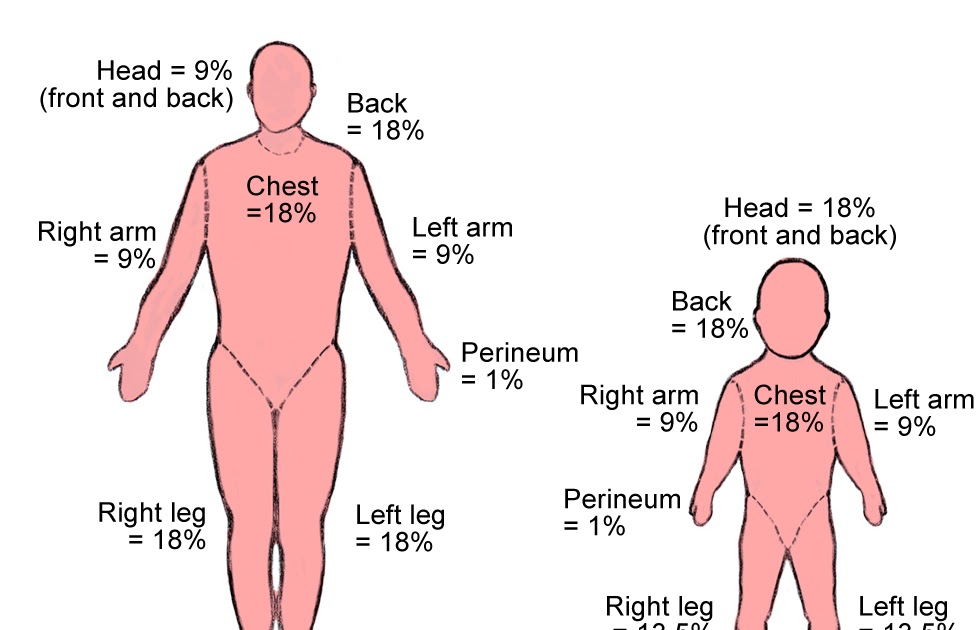 Arm на английском. как переводится legs на русский. Upper limb girdle. Fingers карточка на английском. Arm часть руки.