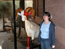 K and goat statue at animal hospital