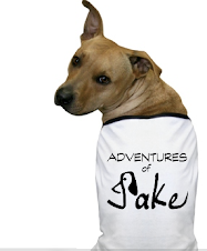 Adventures of Jake Store