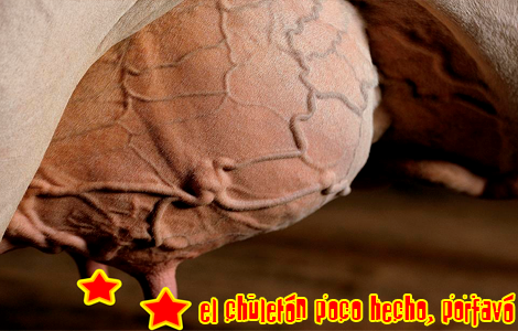 El chuletón, poco hecho porfavó