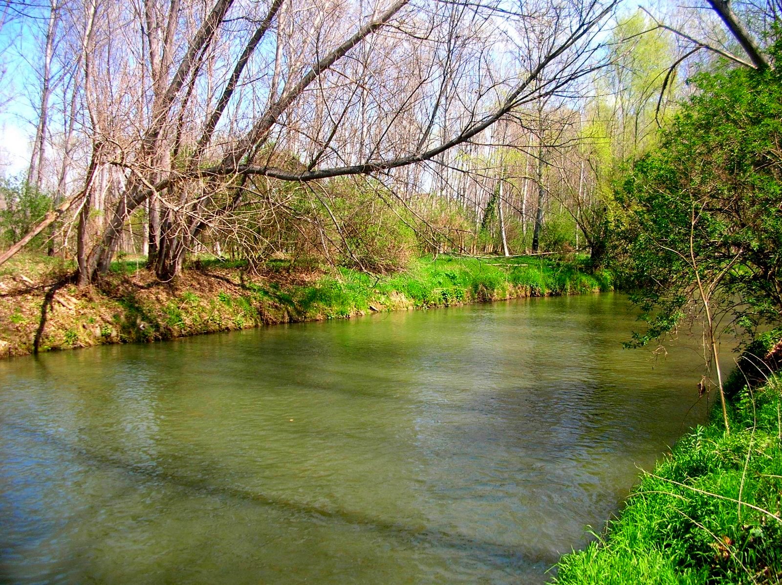 EL MÓN de MARIA ÀNGELS ANGLADA No em dic Laura Maria Àngels Anglada