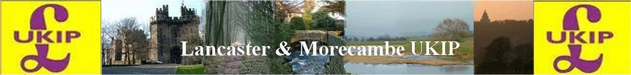 Harbour Ward Election