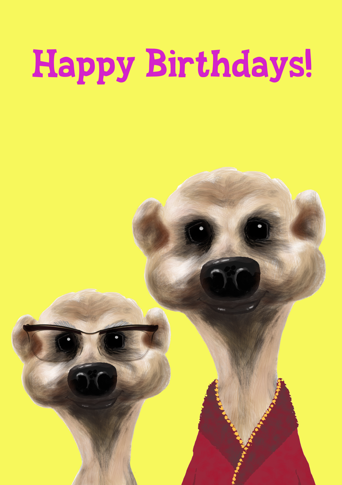 Happy Birthday Meerkat!